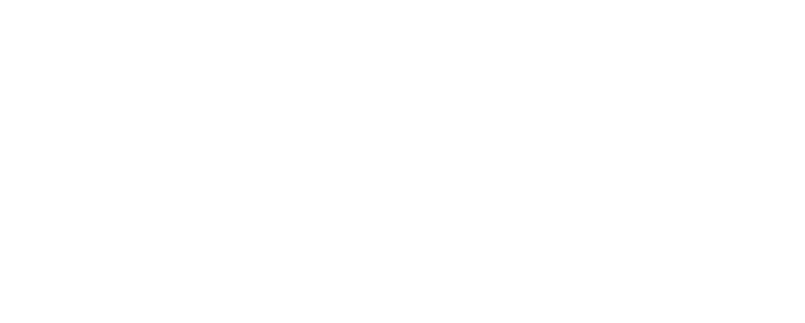 logo9